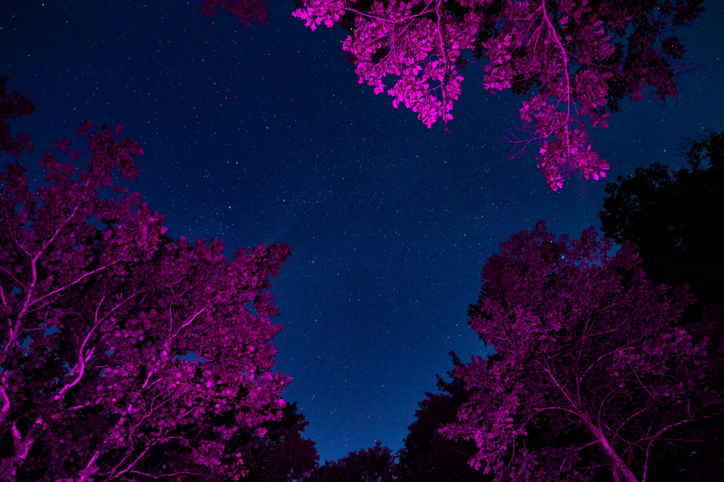 Stepping Up Our Night Sky Photography | Merrell Night Sky Shoes