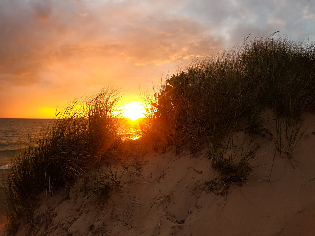 16 Extremely Specific Things To Do This Summer In Ludington
