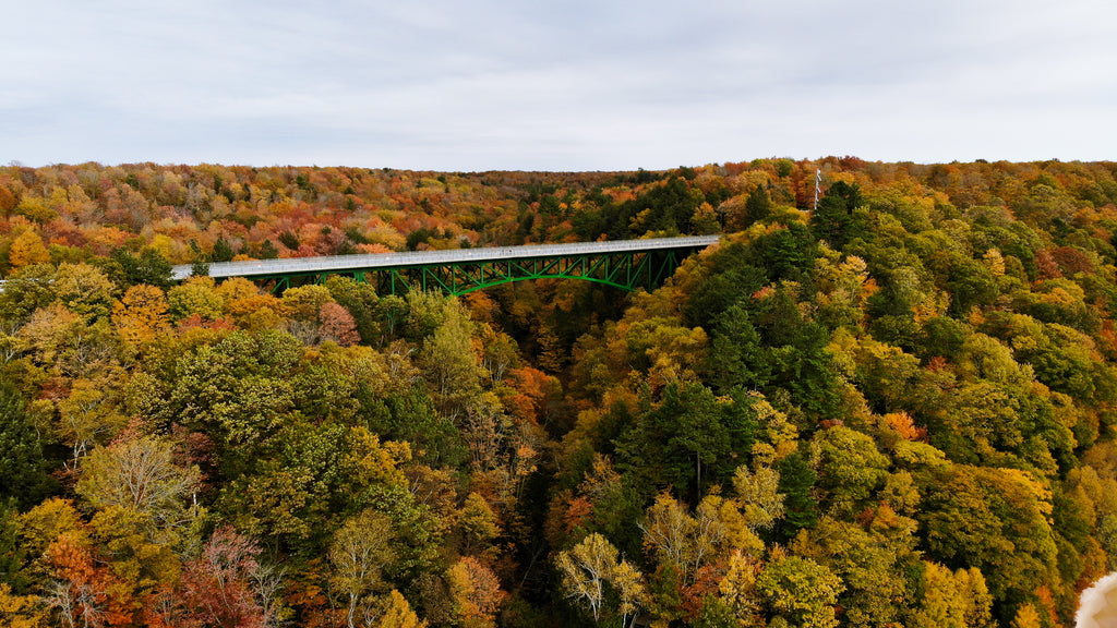 Our Top Photos from Fall in Michigan